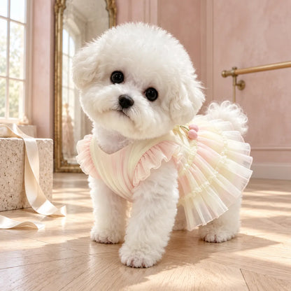 Pawlorette Gradient Ruffle Dog Princess Dress