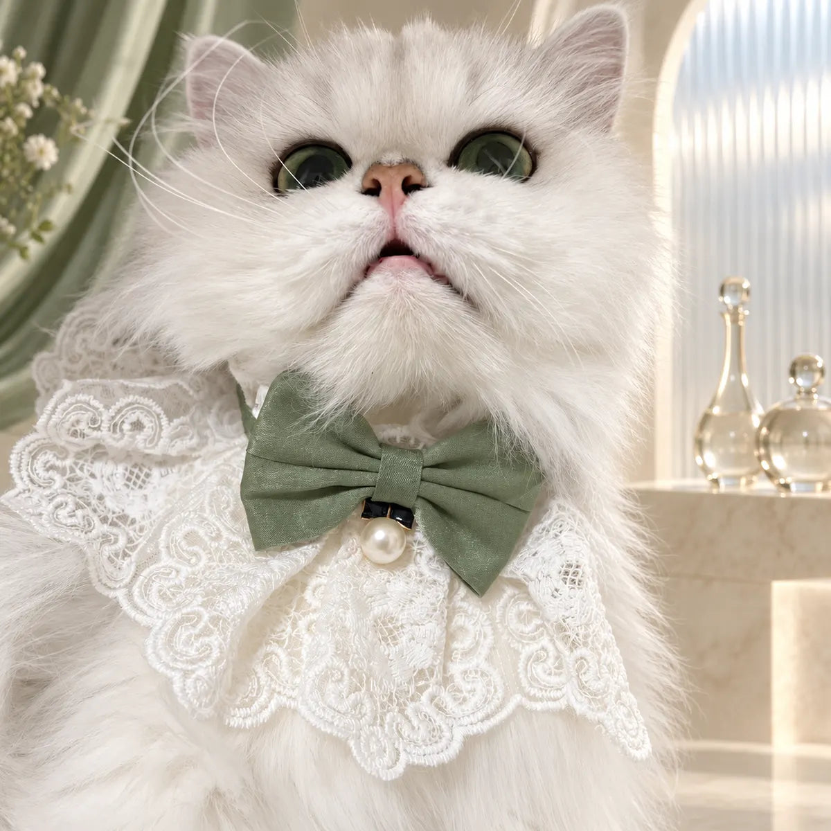 Pawlorette Cute Lace Bowknot Pet Collar